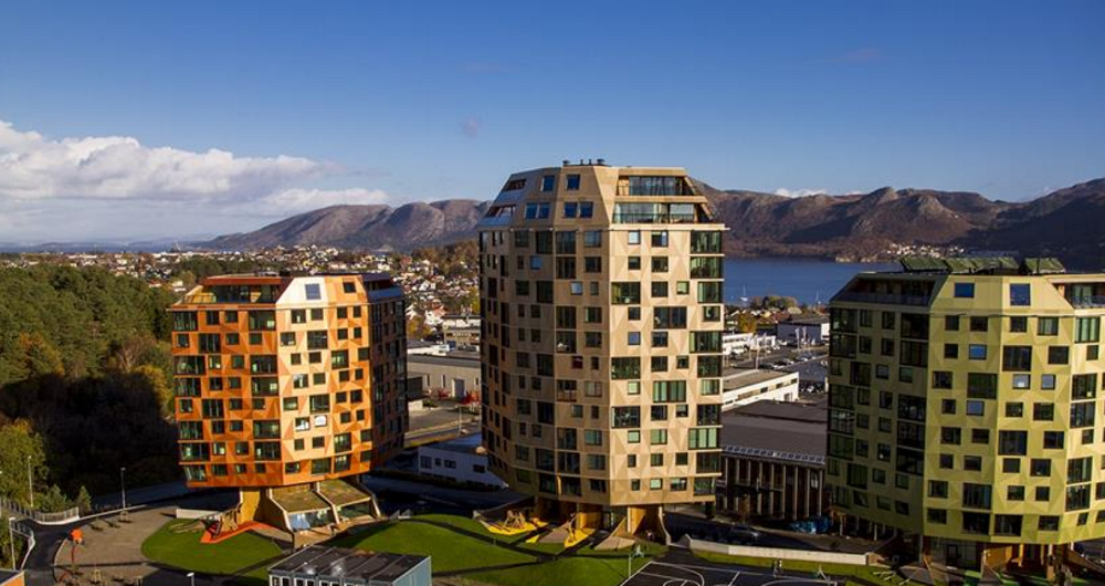 Field-property-consultancy-image