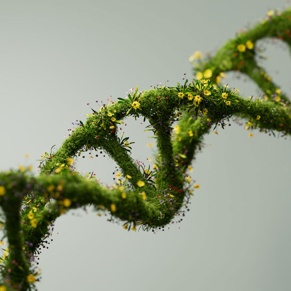 Corporate-social-responsibility