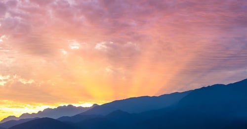 Field kickstarts 2024 under new ownership