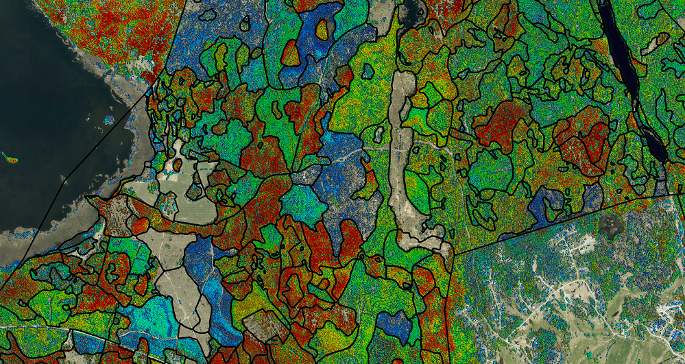 Field_Forestry-Plans