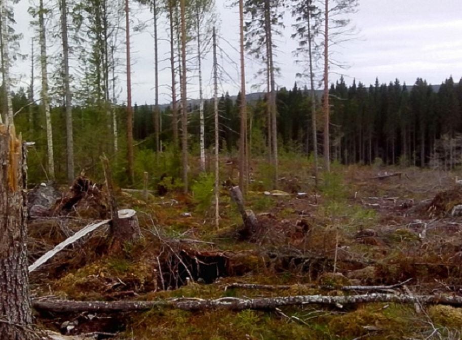 Monitoring & internal controls